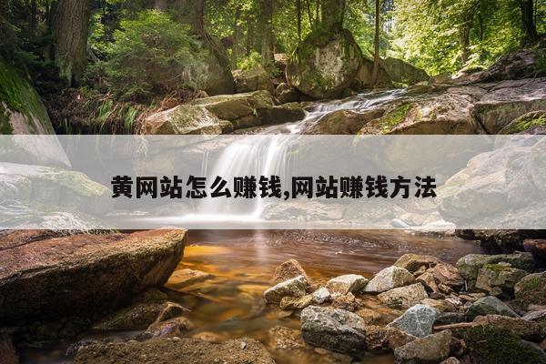 黄网站怎么赚钱,网站赚钱方法