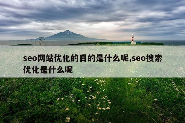 seo网站优化的目的是什么呢,seo搜索优化是什么呢