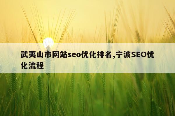 武夷山市网站seo优化排名,宁波SEO优化流程
