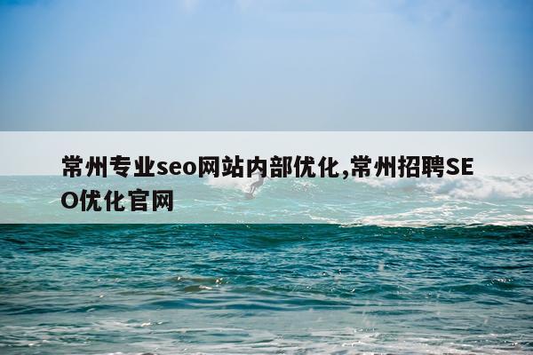 常州专业seo网站内部优化,常州招聘SEO优化官网