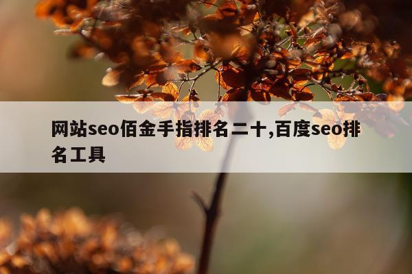 网站seo佰金手指排名二十,百度seo排名工具