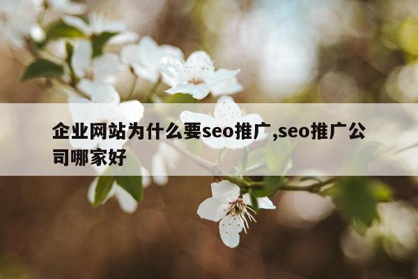 企业网站为什么要seo推广,seo推广公司哪家好