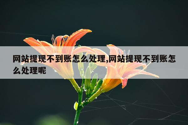 网站提现不到账怎么处理,网站提现不到账怎么处理呢