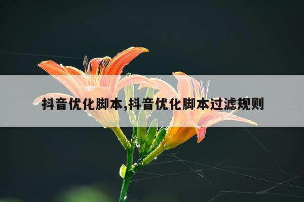 抖音优化脚本,抖音优化脚本过滤规则
