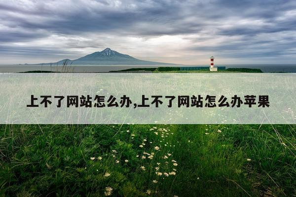 上不了网站怎么办,上不了网站怎么办苹果