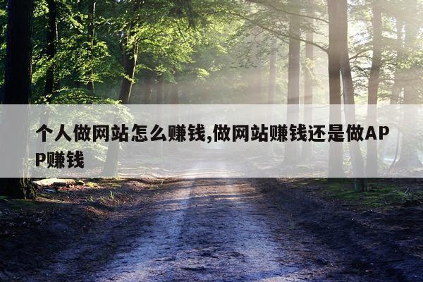 个人做网站怎么赚钱,做网站赚钱还是做APP赚钱