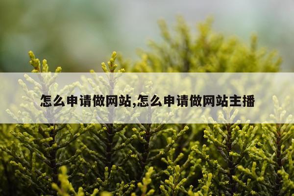 怎么申请做网站,怎么申请做网站主播