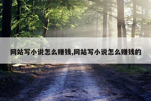 网站写小说怎么赚钱,网站写小说怎么赚钱的
