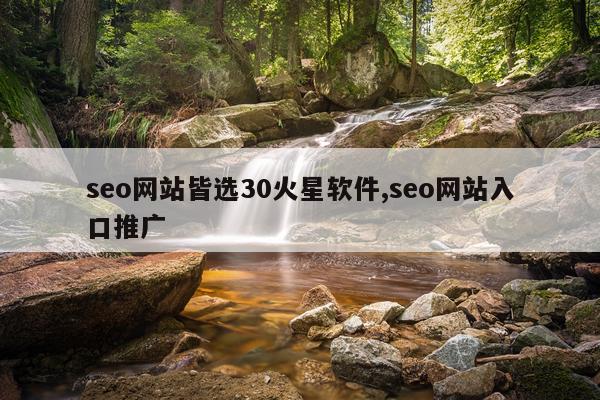 seo网站皆选30火星软件,seo网站入口推广