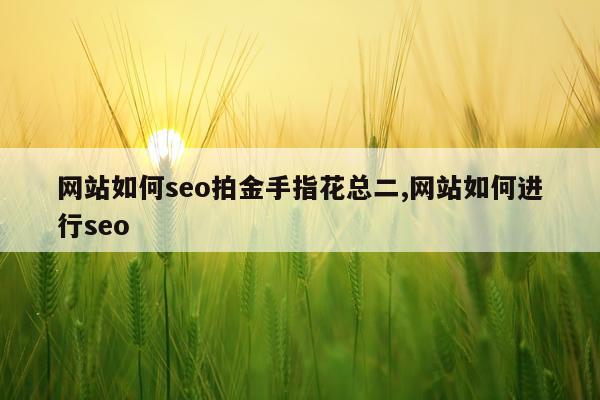 网站如何seo拍金手指花总二,网站如何进行seo