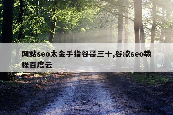 网站seo太金手指谷哥三十,谷歌seo教程百度云