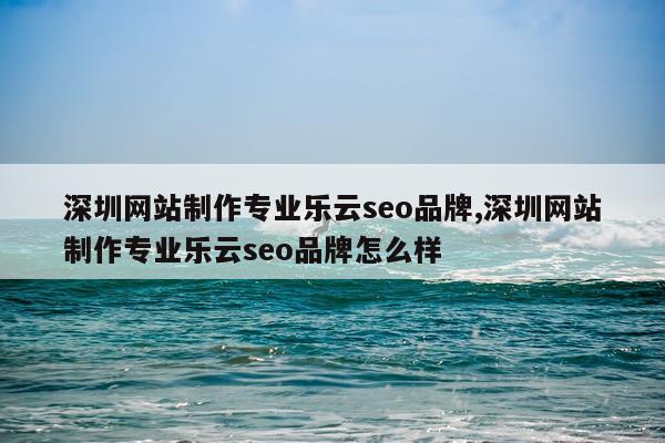 深圳网站制作专业乐云seo品牌,深圳网站制作专业乐云seo品牌怎么样