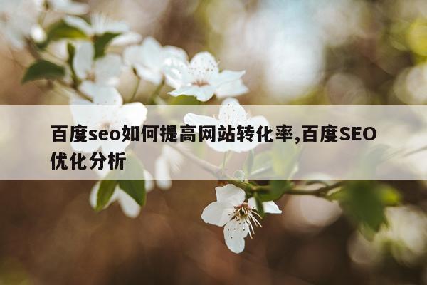 百度seo如何提高网站转化率,百度SEO优化分析