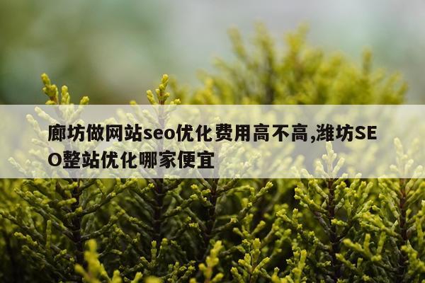 廊坊做网站seo优化费用高不高,潍坊SEO整站优化哪家便宜