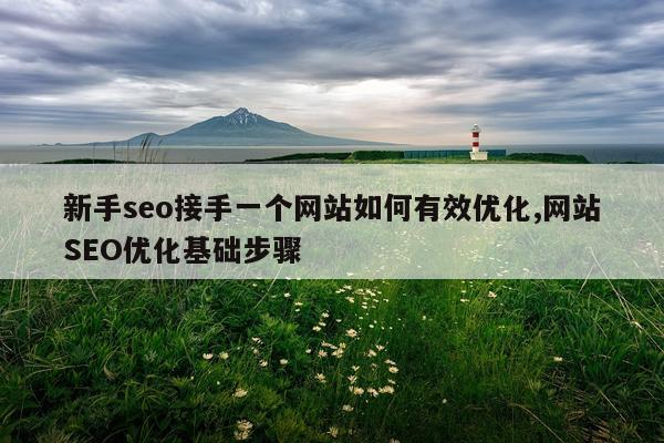 新手seo接手一个网站如何有效优化,网站SEO优化基础步骤