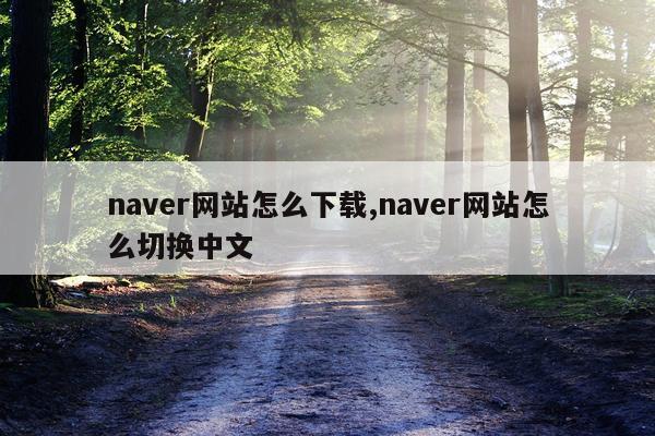 naver网站怎么下载,naver网站怎么切换中文