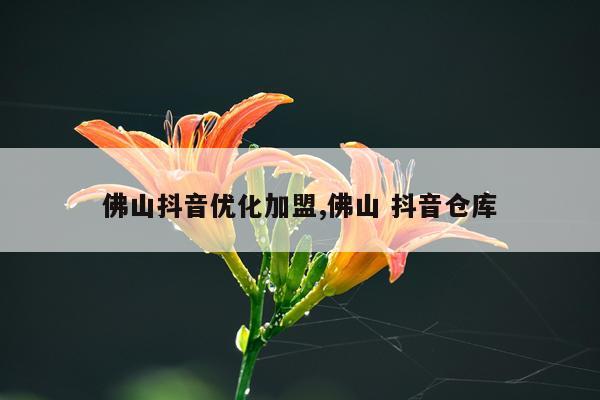 佛山抖音优化加盟,佛山 抖音仓库