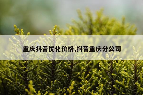 重庆抖音优化价格,抖音重庆分公司