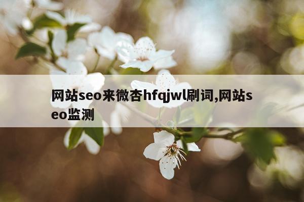 网站seo来微杏hfqjwl刷词,网站seo监测
