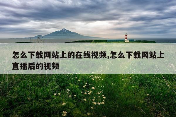 怎么下载网站上的在线视频,怎么下载网站上直播后的视频