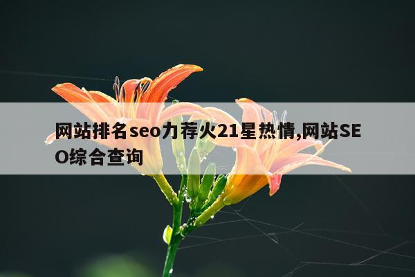网站排名seo力荐火21星热情,网站SEO综合查询