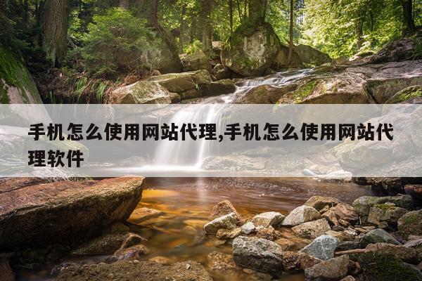 手机怎么使用网站代理,手机怎么使用网站代理软件