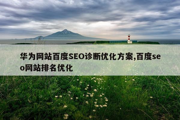 华为网站百度SEO诊断优化方案,百度seo网站排名优化
