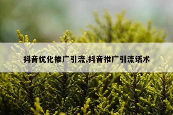 抖音优化推广引流,抖音推广引流话术