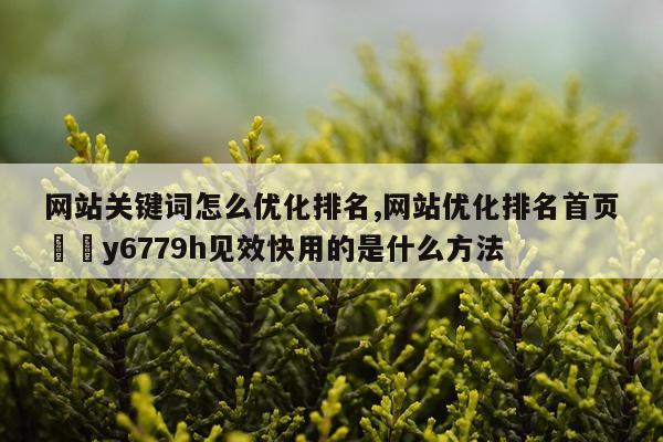 网站关键词怎么优化排名,网站优化排名首页嶶拁y6779h见效快用的是什么方法