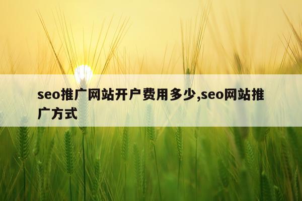 seo推广网站开户费用多少,seo网站推广方式