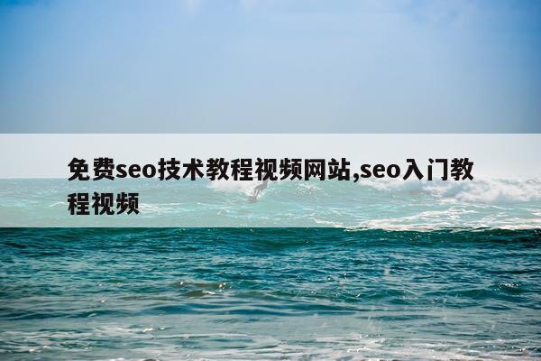 免费seo技术教程视频网站,seo入门教程视频