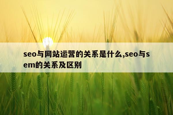 seo与网站运营的关系是什么,seo与sem的关系及区别