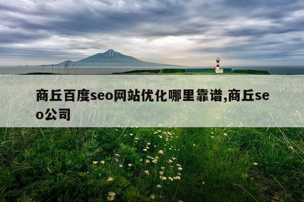 商丘百度seo网站优化哪里靠谱,商丘seo公司
