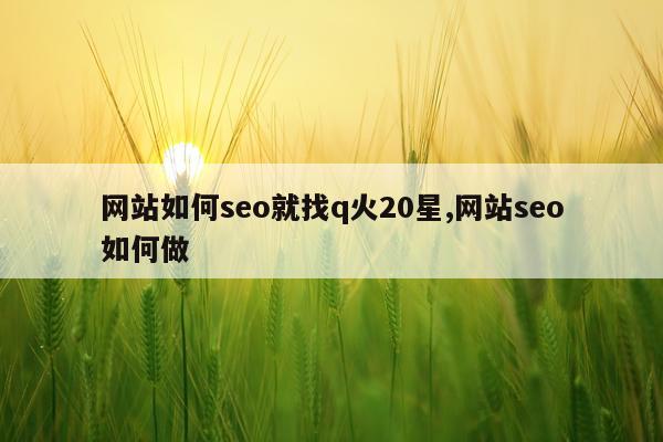 网站如何seo就找q火20星,网站seo如何做