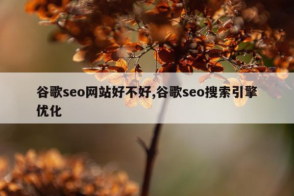 谷歌seo网站好不好,谷歌seo搜索引擎优化