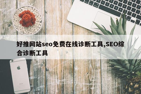 好推网站seo免费在线诊断工具,SEO综合诊断工具