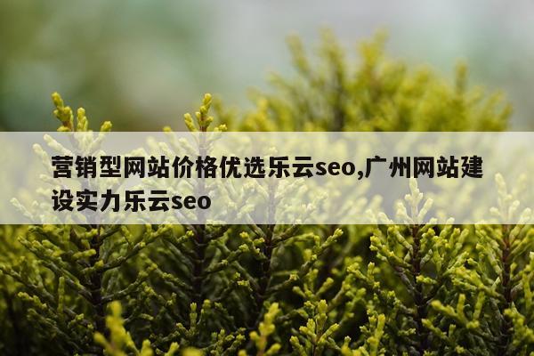 营销型网站价格优选乐云seo,广州网站建设实力乐云seo