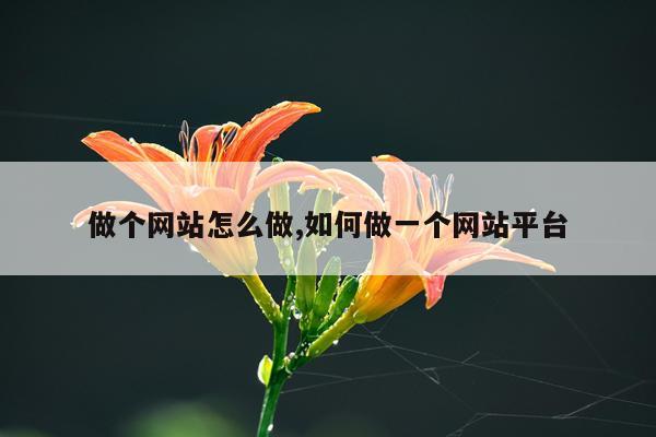 做个网站怎么做,如何做一个网站平台