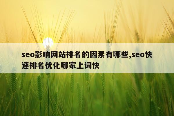 seo影响网站排名的因素有哪些,seo快速排名优化哪家上词快