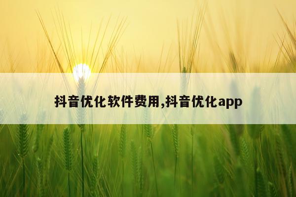 抖音优化软件费用,抖音优化app