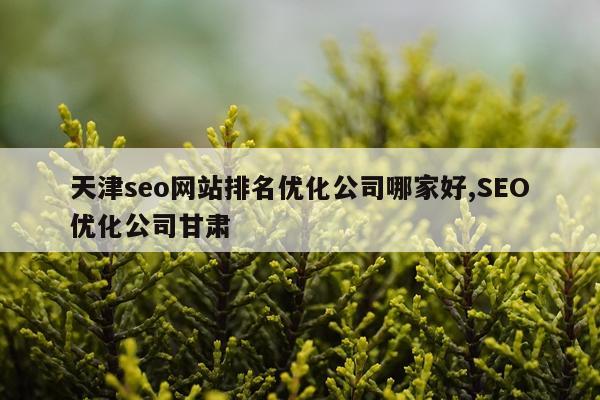 天津seo网站排名优化公司哪家好,SEO优化公司甘肃