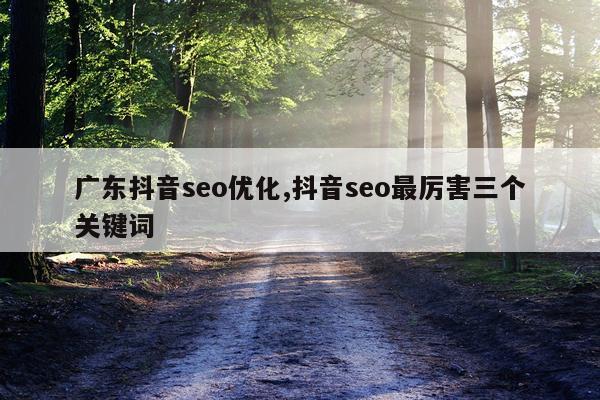 广东抖音seo优化,抖音seo最厉害三个关键词