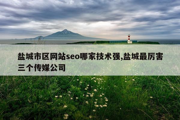 盐城市区网站seo哪家技术强,盐城最厉害三个传媒公司