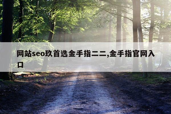 网站seo玖首选金手指二二,金手指官网入口