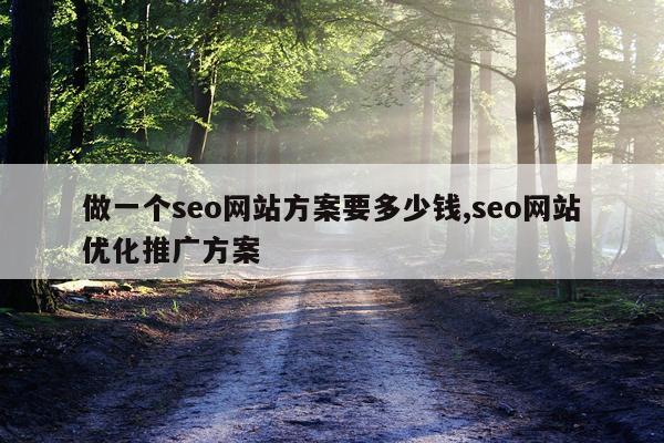 做一个seo网站方案要多少钱,seo网站优化推广方案