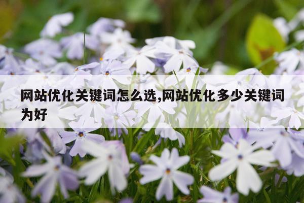 网站优化关键词怎么选,网站优化多少关键词为好