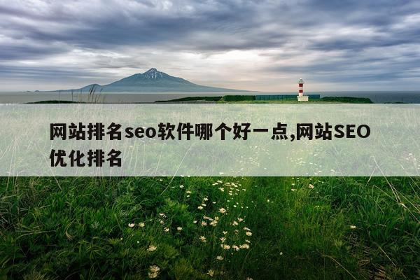 网站排名seo软件哪个好一点,网站SEO优化排名