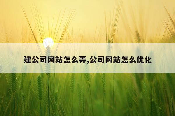 建公司网站怎么弄,公司网站怎么优化