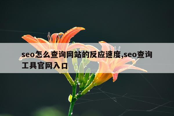 seo怎么查询网站的反应速度,seo查询工具官网入口