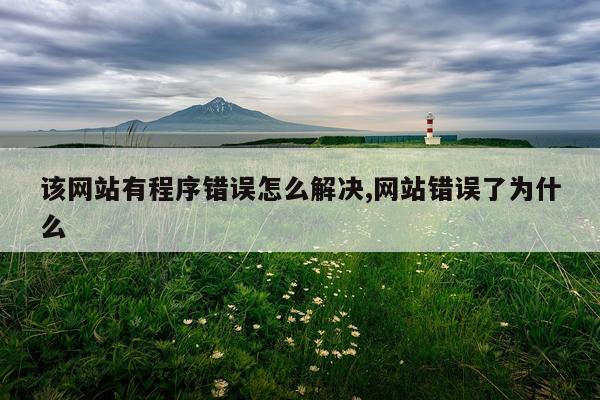 该网站有程序错误怎么解决,网站错误了为什么